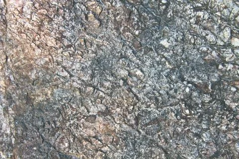 Textured limestone Stock Photos