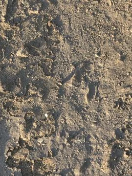 Textured muddy ground surface close up. Foto stock