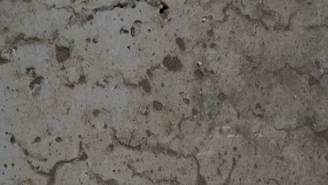 Textured old gray concrete background stained with beige stucco 動画素材 165379655