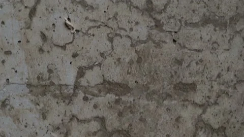 Textured old gray concrete background stained with beige stucco Video stock 165379743