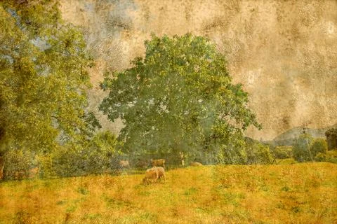 Textured old paper background with  landscape shepherd  and trees Stock Illustration