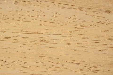 Textured pattern of abash wood background Фото