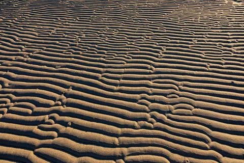 Textured pattern of Ripples in beach sand at sunrise Stock Photos