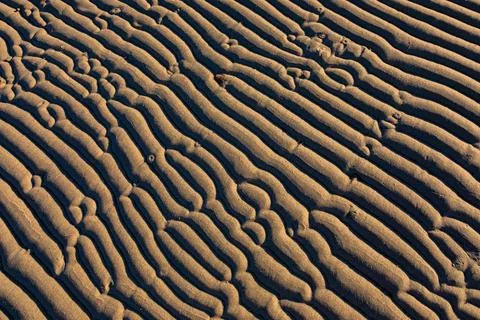 Textured pattern of Ripples in beach sand at sunrise Stock Photos