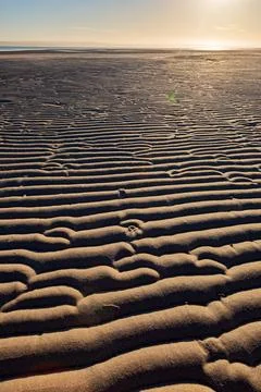Textured pattern of Ripples in beach sand at sunrise Stock Photos
