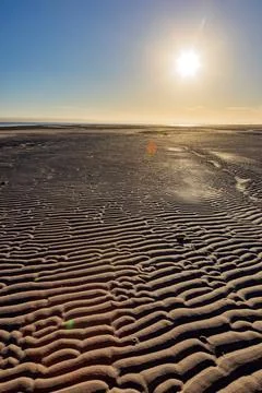 Textured pattern of Ripples in beach sand at sunrise Stock Photos