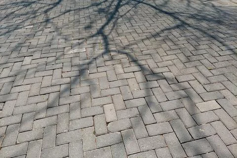 A textured pavement made of interlocking bricks with tree shadows cast on t.. Stock Photos