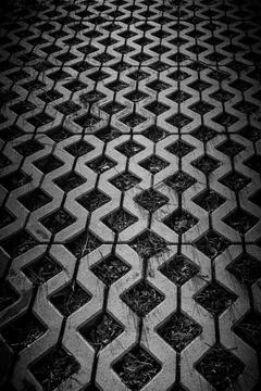 Textured pavement pattern with grass growing in the crevices during daylight Stock Photos