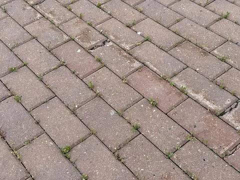 The Textured Paver Brick Pattern is perfect for stunning landscaping and Stock Photos
