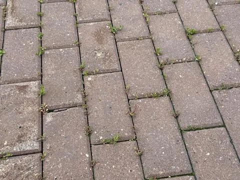 The Textured Paver Brick Pattern is perfect for stunning landscaping and Stock Photos