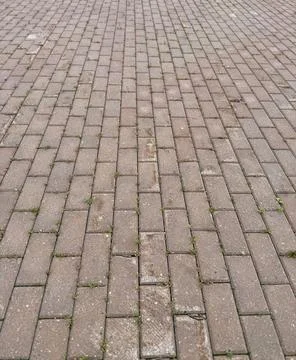 The Textured Paver Brick Pattern is perfect for stunning landscaping and 스톡 사진