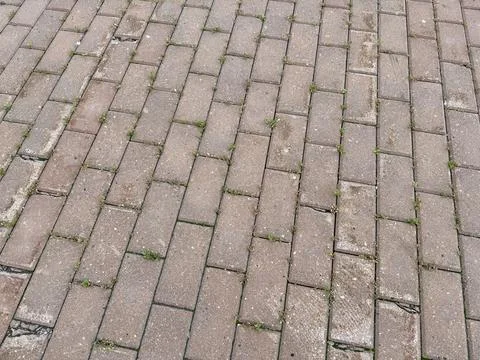 The Textured Paver Brick Pattern is perfect for stunning landscaping and Stock Photos