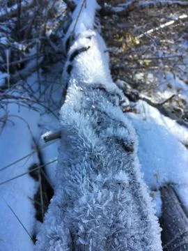 Textured Stock Photos