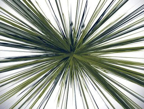 Textured radial lines spreading explosion effect. Starburst, sunburst pattern Illustrazione stock