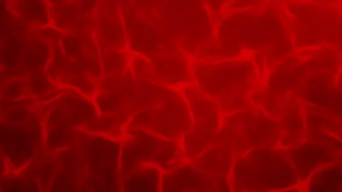 Textured red background of the liquid surface. Stock Footage 149338568