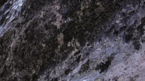 Textured Rock Surface Up Close. Stock Footage 255250419