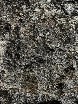 Textured Rock Surface Close-Up Rough brutalist stone surface with deep text.. Stock Photos