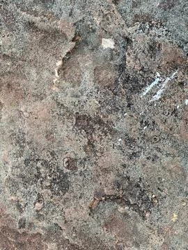Textured Rock Surface with Lichens Stock Photos