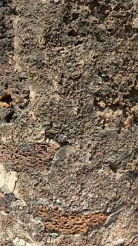 Textured rock surface with natural patterns, suitable for backgrounds. Stock Photos