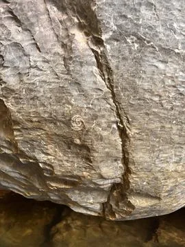 Textured rock surface with natural patterns showcasing geological features and Stock Photos