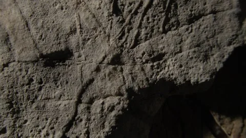 Textured Rock Surface with Shadowed Cracks Stock Footage 289083902
