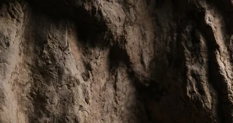 Textured Rock Surface with Shadows Stock Footage 286715864