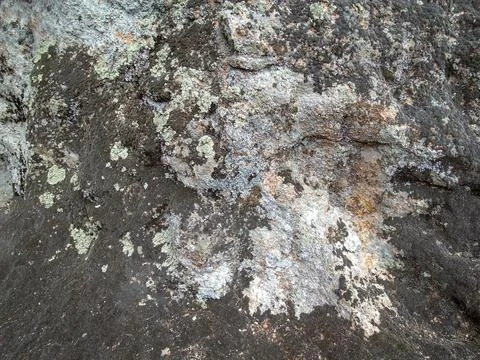 Textured rock surface with weathered patterns Stock-Fotos