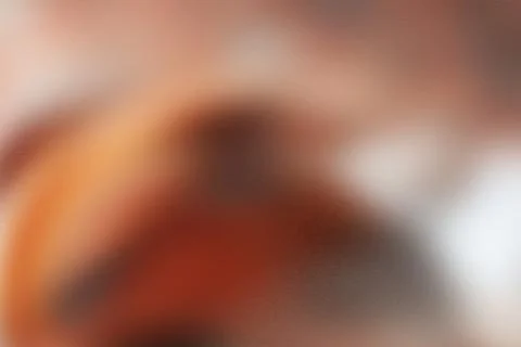 Textured rough gradient texture background, abstract shining colored poster.. Stock Photos