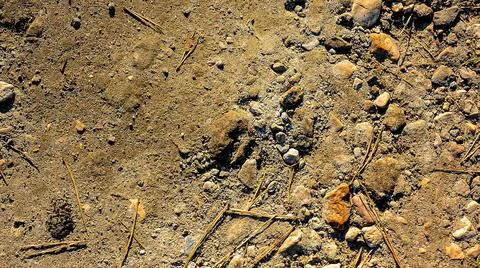 Textured Rough Ground 写真素材