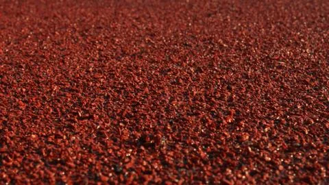 Textured running surface at the stadium Stock Photos