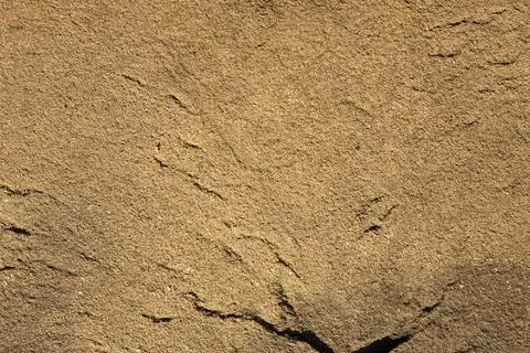 Textured Sand Surface Resembling Plaster With Intricate Patterns in Warm Tone Stock Photos