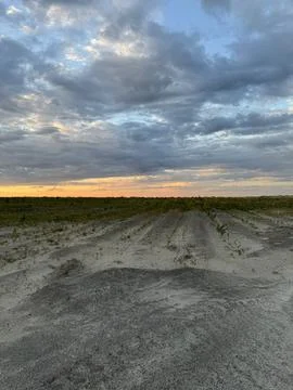 Textured sandy terrain with sparse plants at sunset Stock Photos