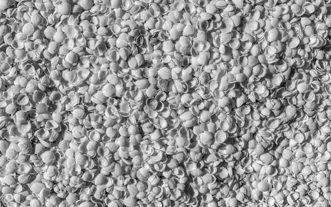 Textured Seashell Background Stock Photos