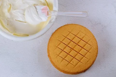 Textured soft egg cake with whipped cream. Stock Photos