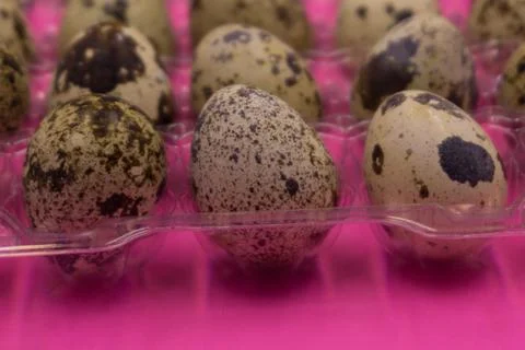 Textured spring background with small quail eggs. Eco products. Horizontal fo Stock Photos