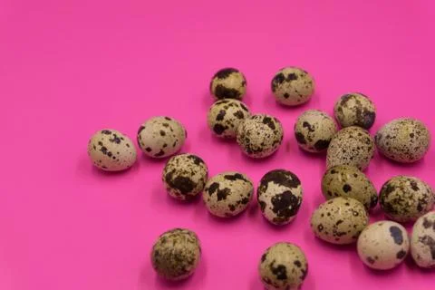 Textured spring background with small quail eggs. Eco products. Horizontal fo Stock Photos