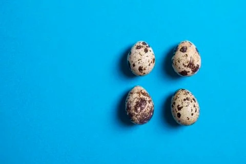 Textured spring background with small quail eggs. Eco products. Horizontal fo Stock Photos
