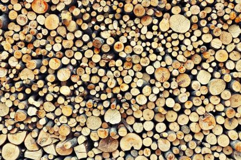 Textured stack of firewood, beech wood cut pieces Stock Photos