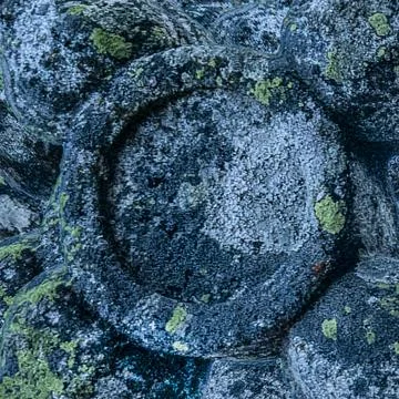 Textured stone circle shape surrounded by moss 스톡 사진