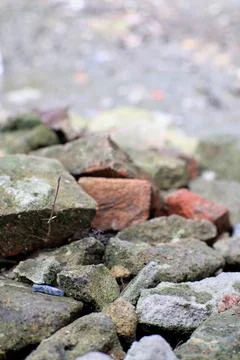 Textured Stone Fragments: An Abstract Study in Moss and Brick Materiality Stock Photos
