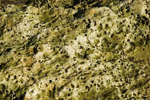 Textured stone sandstone surface. Stock Photos