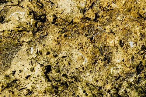 Textured stone sandstone surface. Foto stock