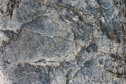 Textured stone surface close up. background. Stock Photos