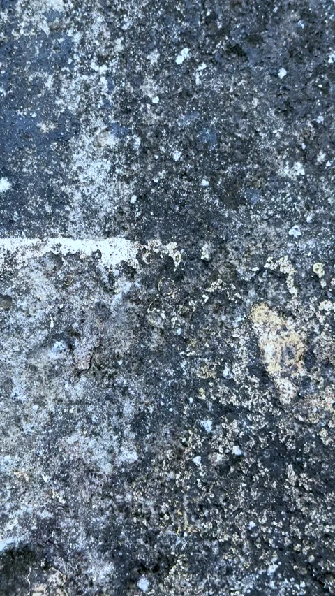 Textured stone surface with a mix of gray and blue tones creating a rugged .. Stock Footage 338414731
