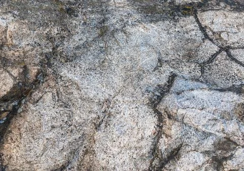 Textured Stone Surface Natural Patterns Detailed Rock Formation Stock Photos