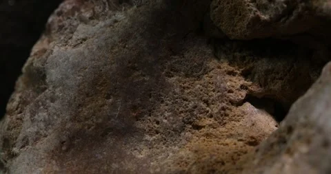 Textured Stone Surface with Natural Shadows Stock Footage 289724041