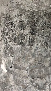 Textured stone wall with abstract patterns, grey and white hues. Stock Photos