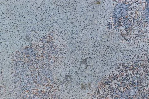 Textured surface for background. Abstract patterns, dots. Stock Photos