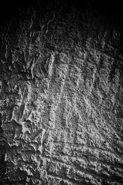 Textured surface captured in high contrast showcasing natural patterns and Stock Photos