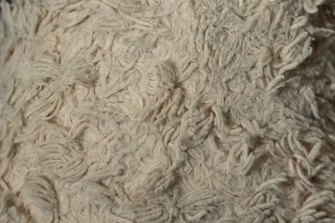 Textured Surface Displaying Intricate Patterns of Soft, Fluffy Fibers in Neutral Stock Photos